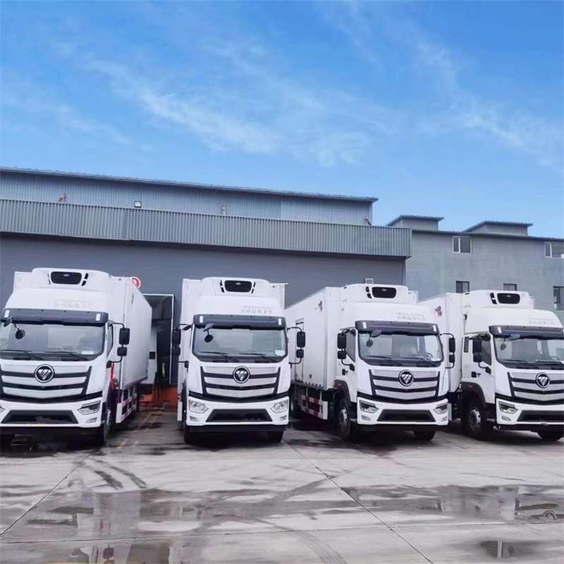 涡阳县新龙县进仓物流：多元专线直达运输探秘